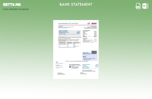 Модерен стил шаблон за збор страници за изводи од банкарска картичка Citi на САД